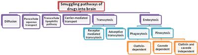 Nanotechnology: A Promising Approach for Delivery of Neuroprotective Drugs
